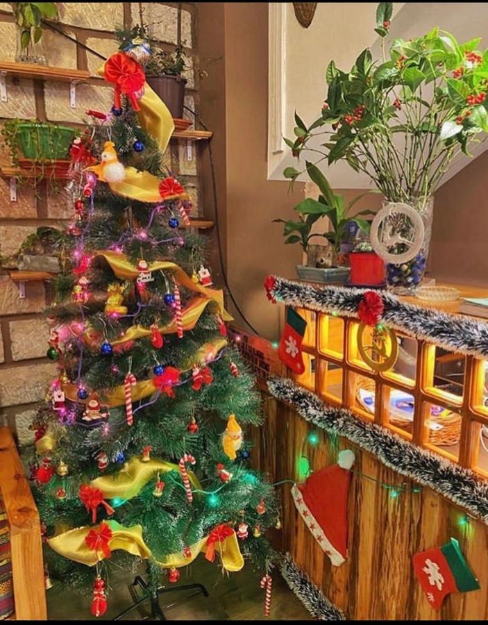 צ'ראפונג'י Aisha Guest House Bed & Breakfast מראה חיצוני תמונה